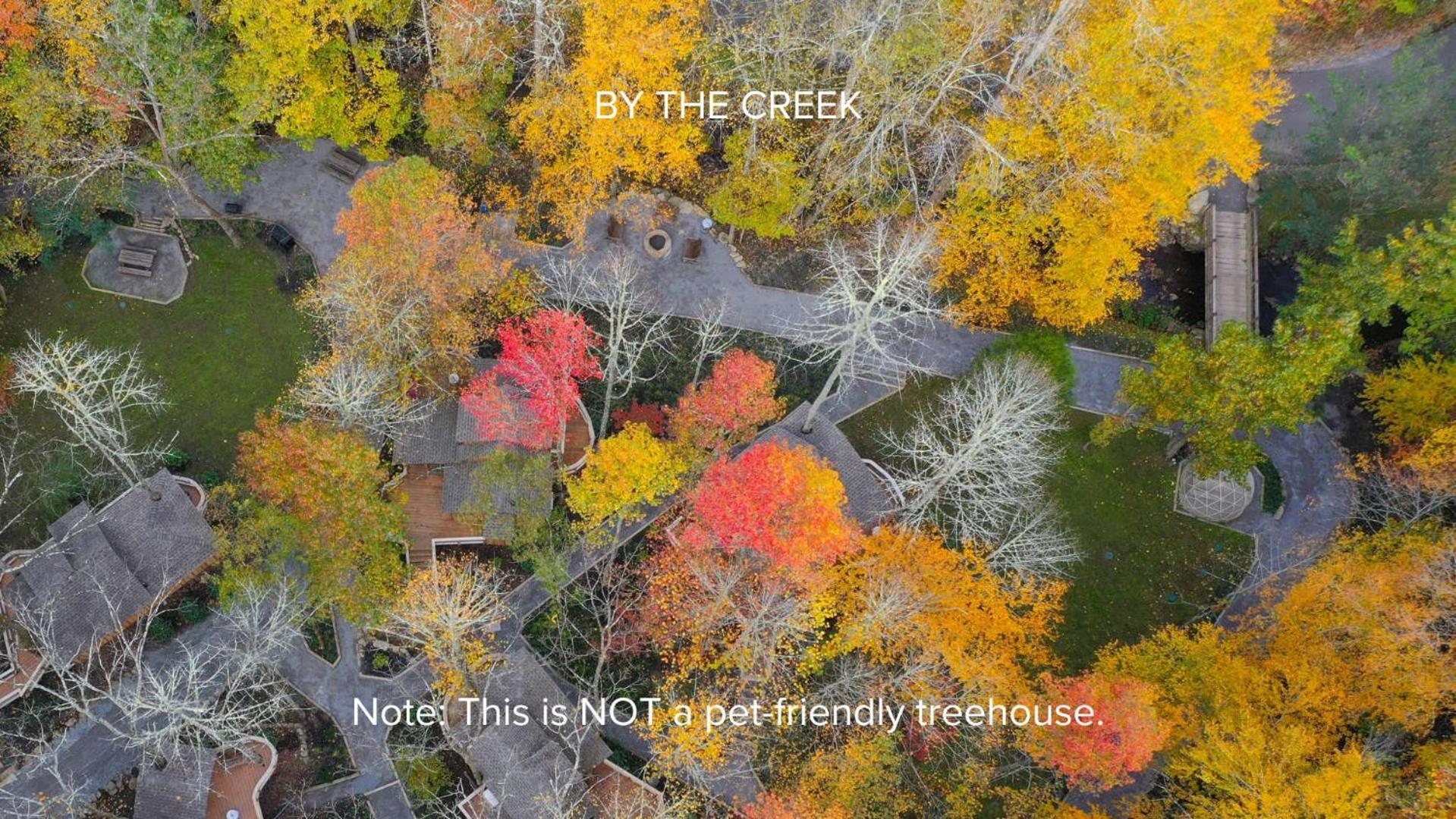 The Dogwood In Treehouse Grove At Norton Creek Villa Gatlinburg Eksteriør billede
